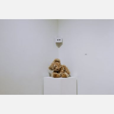 <em>Untitled (Sad Bear)</em></br> "Sad Bear," Video Documentation