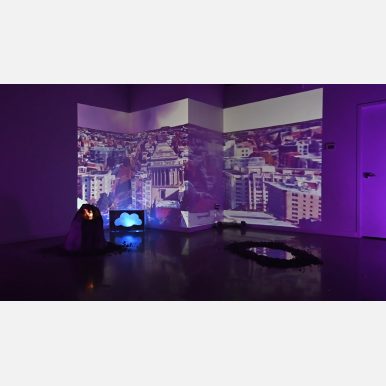 <em>Untitled (A New Landscape)</em> </br> "Untitled (A New Landscape)" Installation Documentation