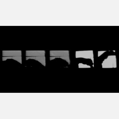 <em>Untitled (To Bear the Weight) #1</em></br> To Bear the Weight